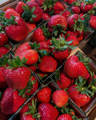 Strawberries packed neatly inside fresh produce boxes.