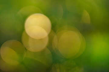 Blurred green bokeh background