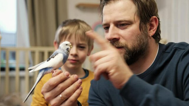 Father and son enjoying at home. Young boy and his daddy playing with funny pet budgerigar parrot. Happy family. Tamed budgie parakeet. People take care of and play with bird. Cute domestic animals