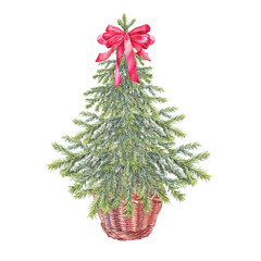 Watercolor green christmas tree in basket and red ribbon bow isolated on white background. Forest evergreen fir or pine for card. Hand-drawn clipart for new year celebration or wrapping wallpaper