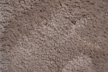 A fuzzy, shaggy carpet with a white spot in the middle