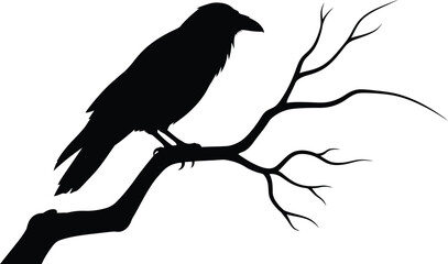 Obraz premium Silhouette of a raven perched on a bare tree branch against a white background.