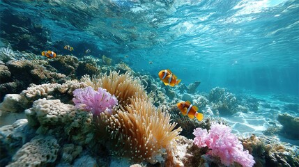 Underwater coral reef scene with clownfish swimming through anemones and diverse marine life