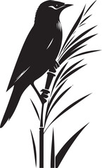 Vector bird myna silhouette illustration