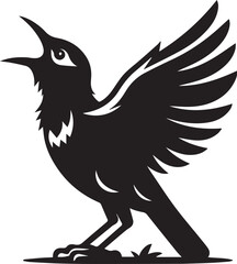 Vector bird myna silhouette illustration