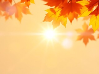 Obraz premium Autumnal Maple Leaves and Golden Sunlight Creating a Warm and Inviting Scene