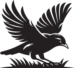 Vector bird myna silhouette illustration