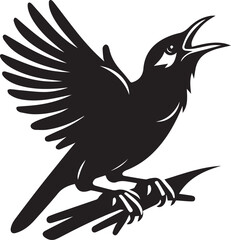 Vector bird myna silhouette illustration