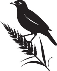 Vector bird myna silhouette illustration
