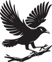 Vector bird myna silhouette illustration