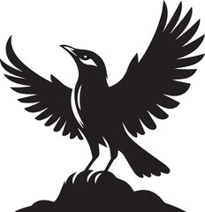 Vector bird myna silhouette illustration