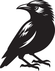 Vector bird myna silhouette illustration