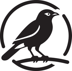 Vector bird myna silhouette illustration