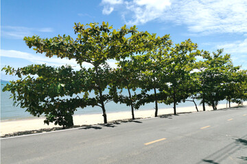 street background nature landscape and road sand beach