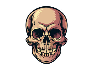 skull illustration
