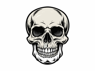 skull illustration