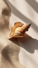 Seashell on textured sand with soft natural light and shadow creating calm and minimalist beach atmosphere in warm beige tones
