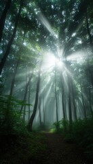 Sunbeam in Mystical Forest: Sunbeam filter through the tall tree in the mystical forest, casting a ethereal glow on the walking trail.
