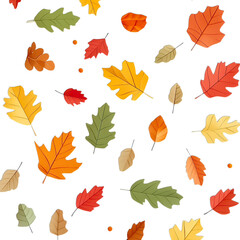 autumn leaves seamless pattern isolated on transparent background png

