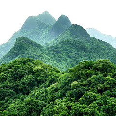 mountain in the mountains isolated on transparent background png
