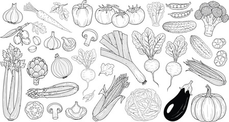 Collection of fresh vegetables and produce hand drawn line art illustration