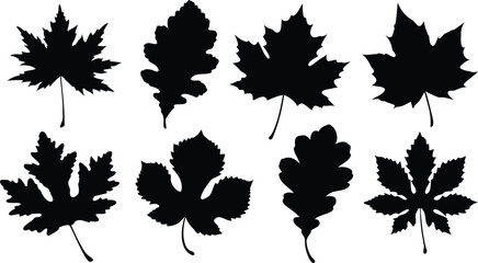 Fototapeta premium set of autumn leaves silhouette vector