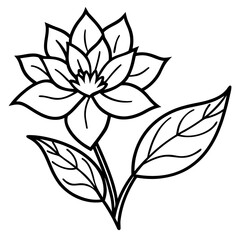 Fototapeta premium black and white flower