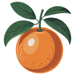 orange fruit with leaves