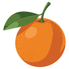 vector illustration of orange fruit