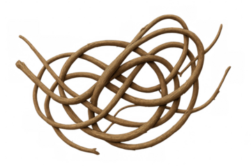 Brown branches intertwining, forming intricate geometric patterns, revealing delicate natural complexity against translucent backdrop