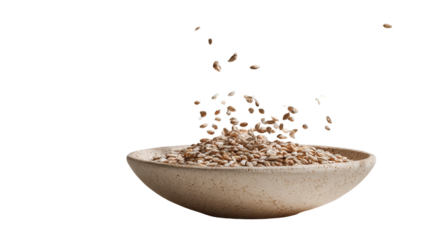 Organic Barley Grains on Transparent Background
