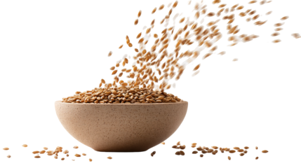 Organic Barley Grains on Transparent Background