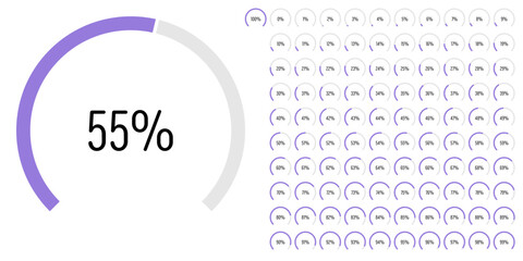 Set of circular sector arc percentage diagrams meters progress bar from 0 to 100 ready-to-use for web design, user interface UI or infographic - indicator with purple