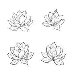 Fototapeta premium Magnolia