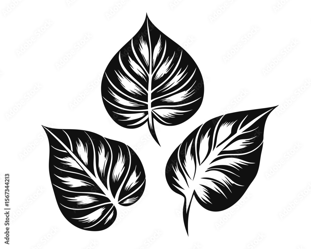 Poster collection of stylized botanical foliage elements showcasing distinct silhouettes and organic shapes