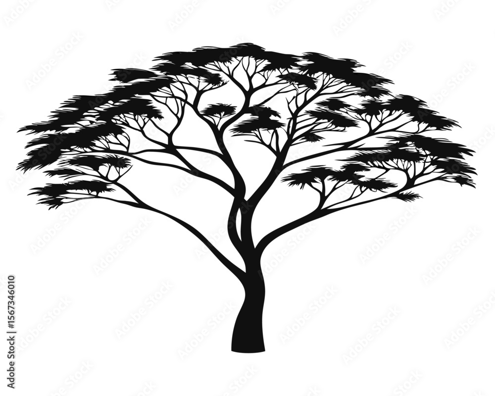 Poster elegant silhouette of an acacia tree showcasing its distinctive branching structure and leafy canopy