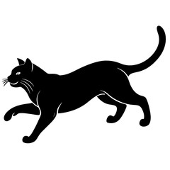 A black cat is walking isolated on white background