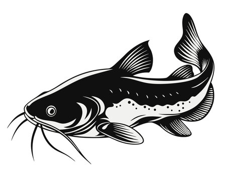 Artistic rendering of a wels catfish also known as a sheatfish presented in a fluid hand painted watercolor style with vibrant aquatic hues