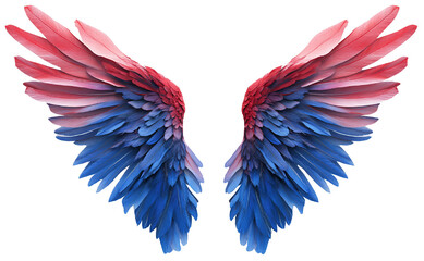 colorful wing feather texture, bird, gradation