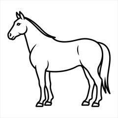 Fototapeta premium Elegant Line Art Horse Illustration Vector Graphic for Design Projects