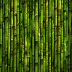 green bamboo background