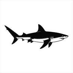 Fototapeta premium Powerful Shark Illustration Black and White Vector Graphic
