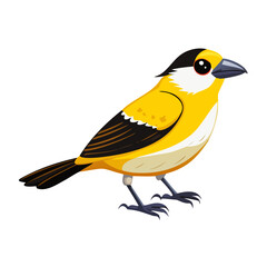 Cute Yellow and Black Bird Illustration | Colorful Songbird Cartoon Clipart for Nature, Wildlife, and Kids' Educational Projects

