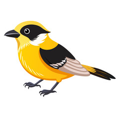 Cute Yellow and Black Bird Illustration | Colorful Songbird Cartoon Clipart for Nature, Wildlife, and Kids' Educational Projects


