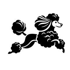 Fototapeta premium Black and white silhouette vector of a poodle on white background