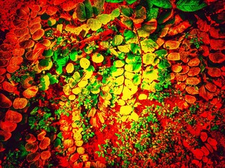 abstract colorful background