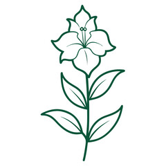  larkspur flower line art on white background