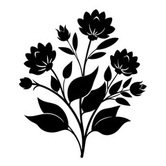  laurustinus flower silhouette vector on white