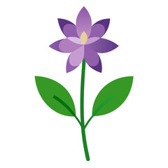 lucerne flower on white-background 