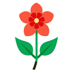 lucerne flower on white background